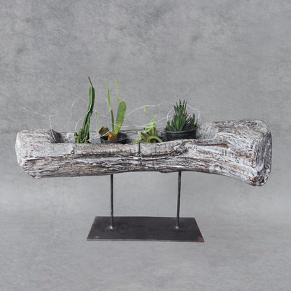 Wooden Planter With Plants by Satgurus