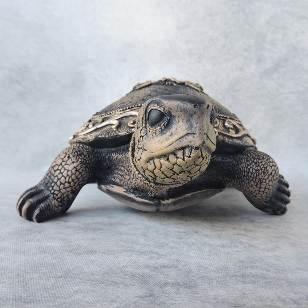 Tortoise  / Brown by Satgurus