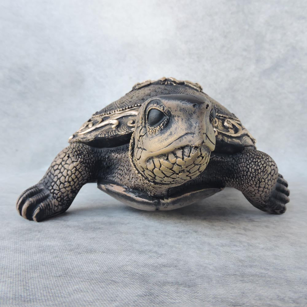Tortoise / Brown by Satgurus