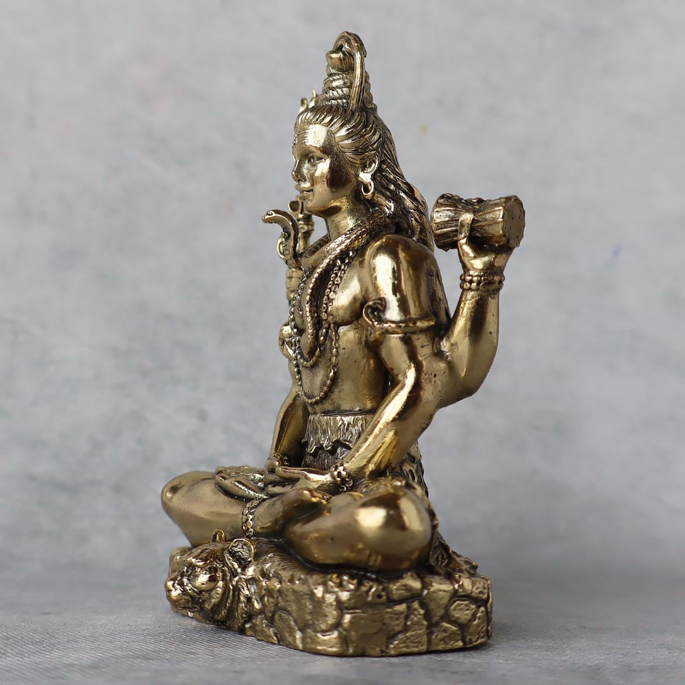 Ashtadhatu Shiv Shankar by Satgurus