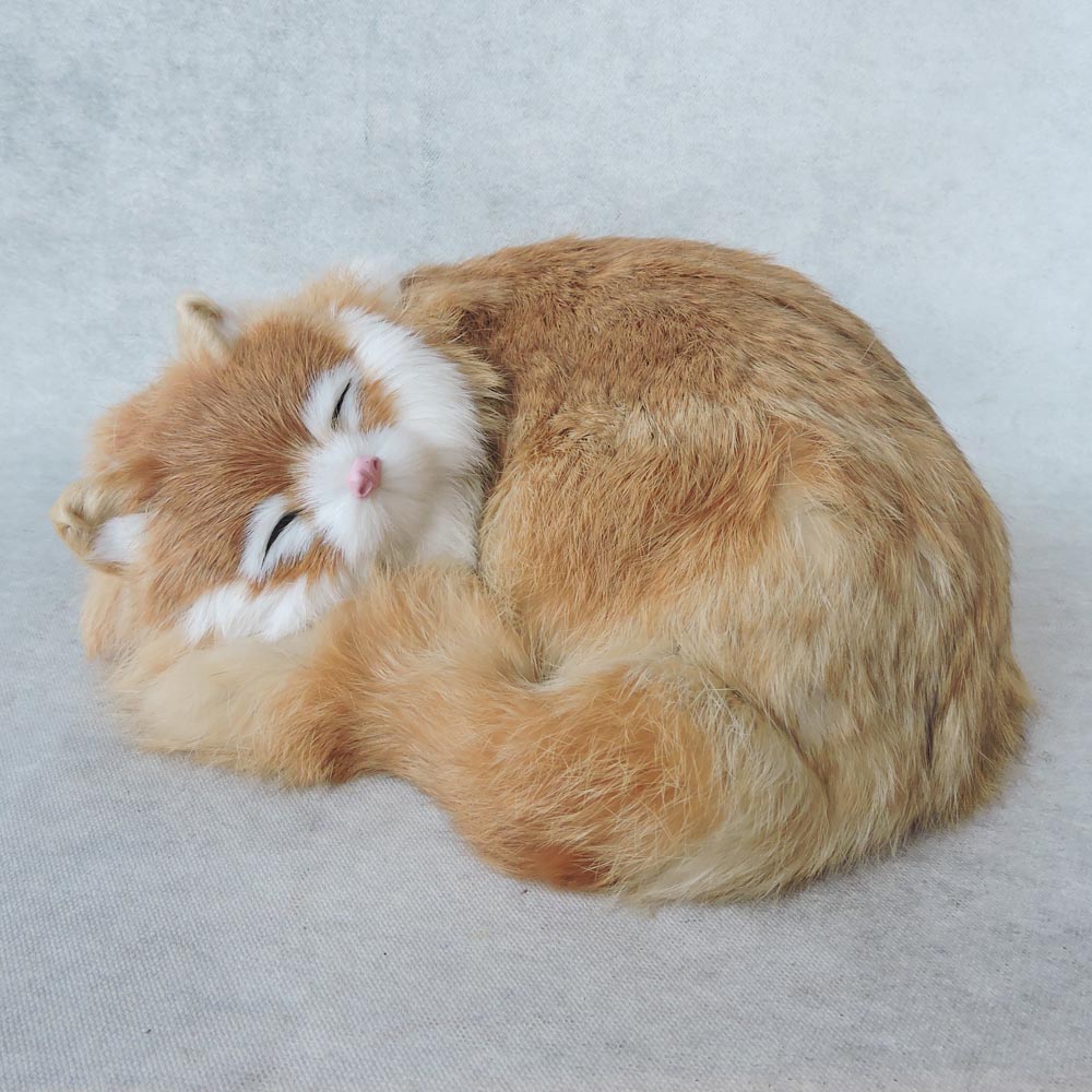 Sleeping Cat by Satgurus