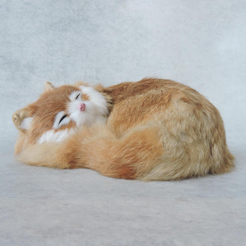 Sleeping Cat by Satgurus