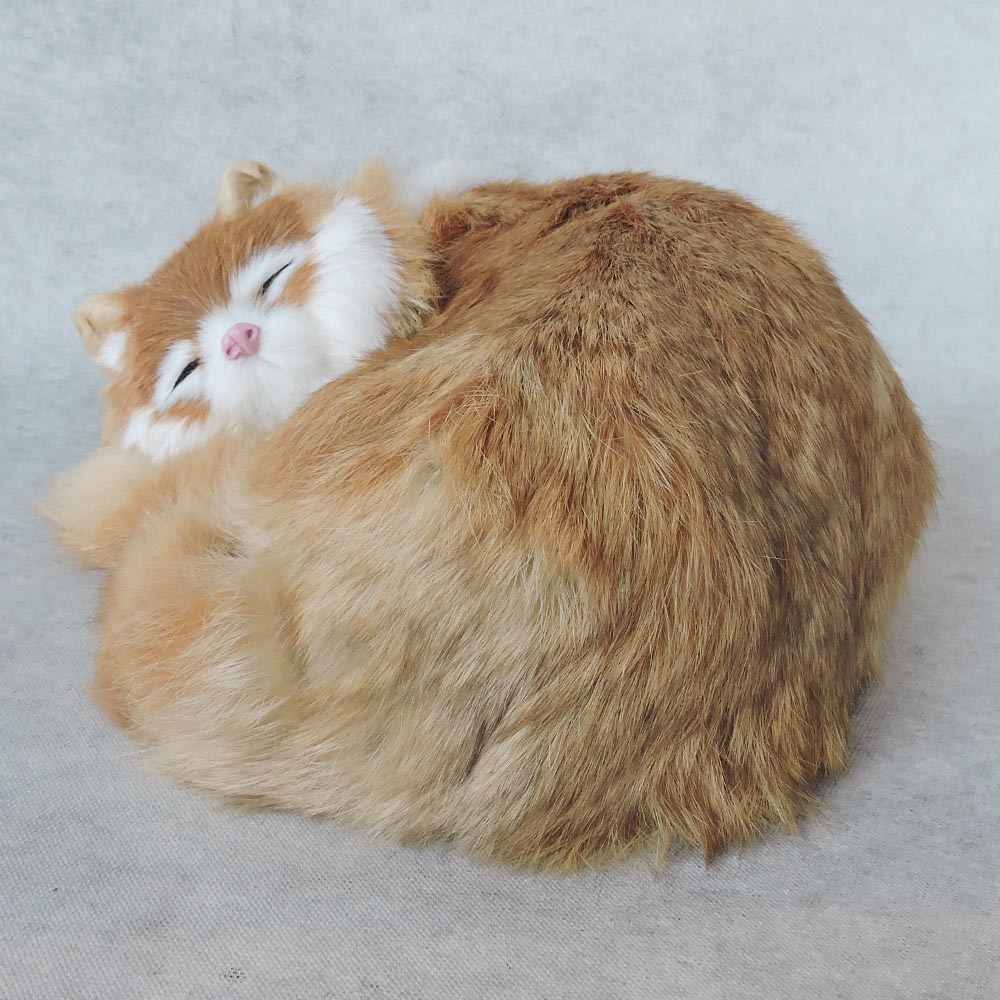 Sleeping Cat by Satgurus