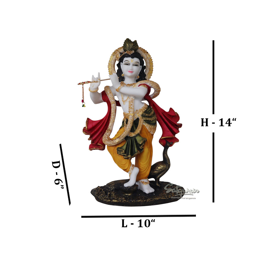 Murali Krishna by Satgurus