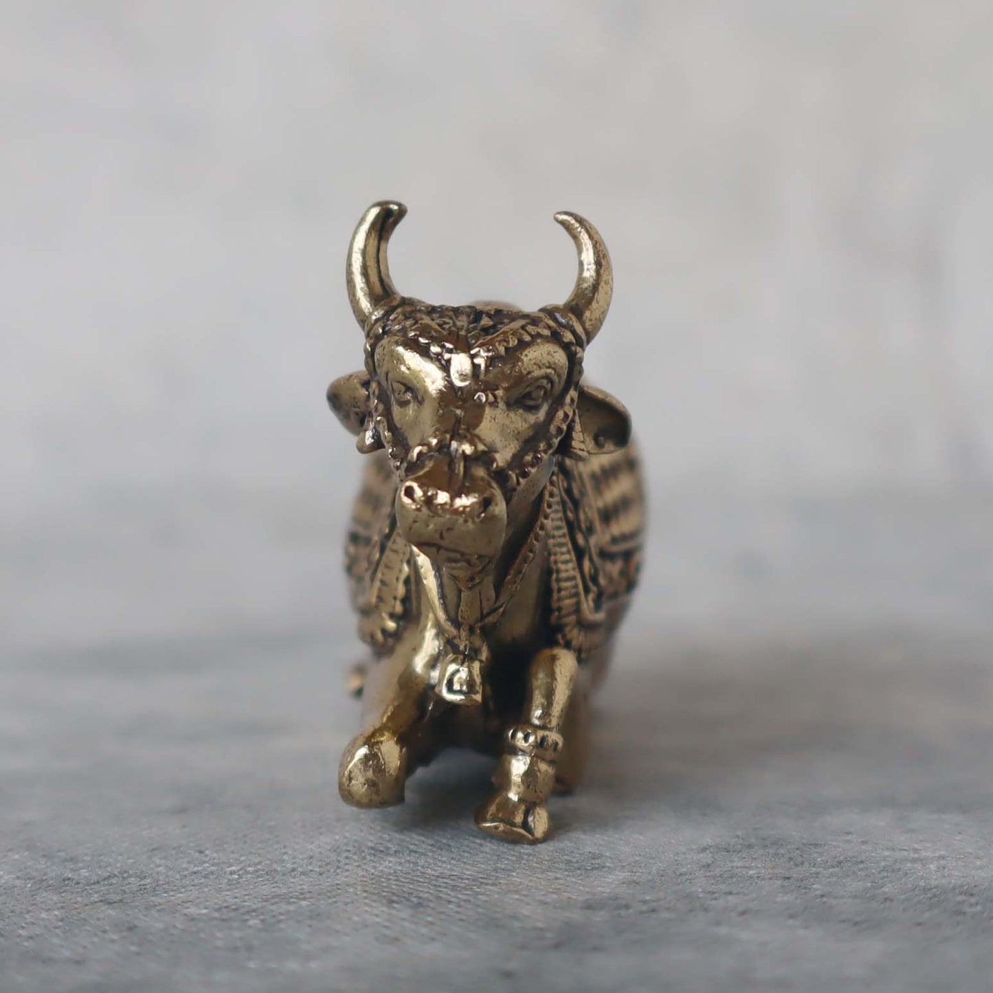 Ashtadhatu Nandi Sitting by Satgurus