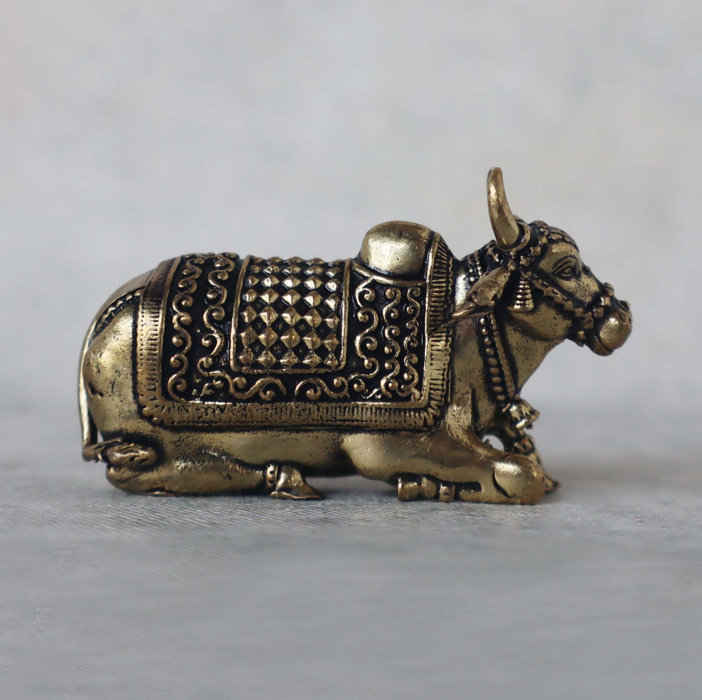 Nandi Sitting by Satgurus