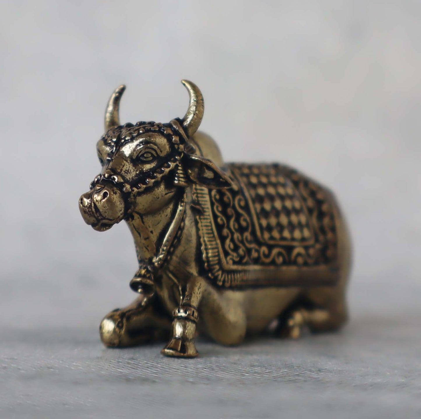 Ashtadhatu Nandi Sitting by Satgurus