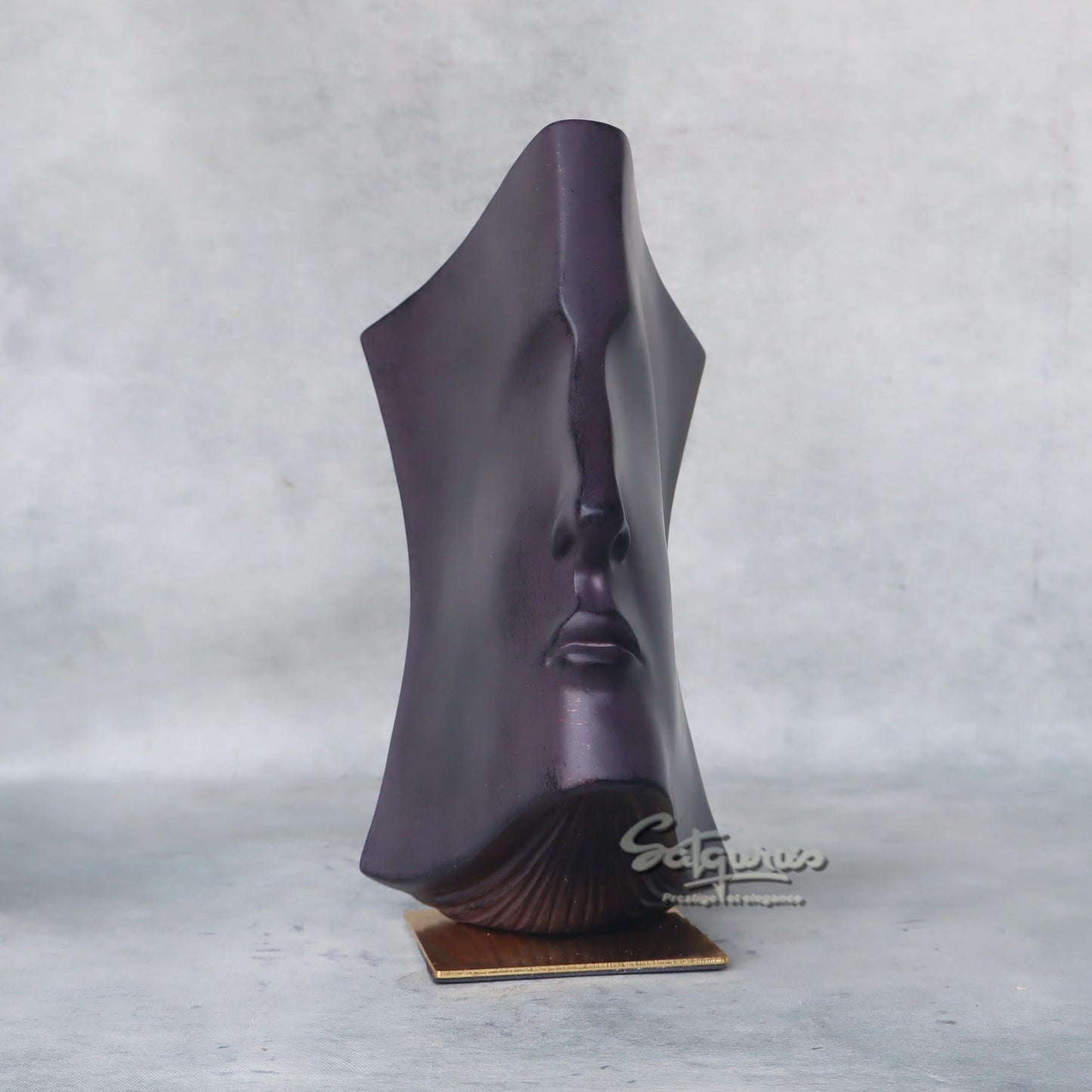 Man Face Book by Satgurus