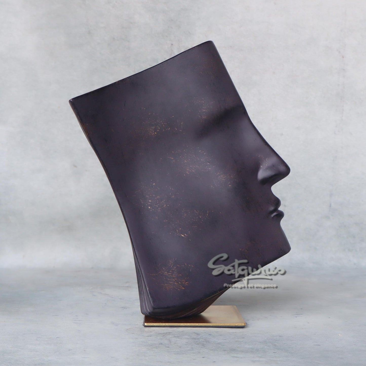 Man Face Book by Satgurus