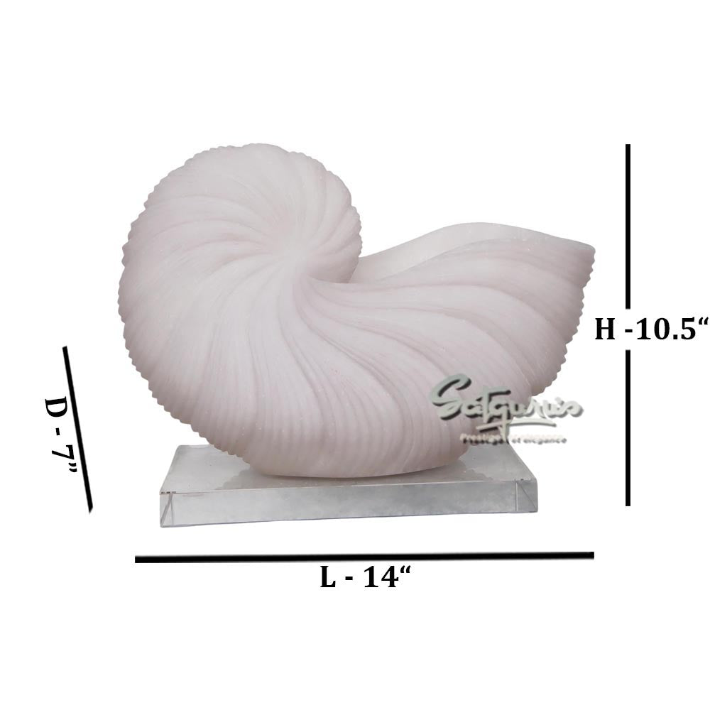 Oyster Design Urli by Satgurus