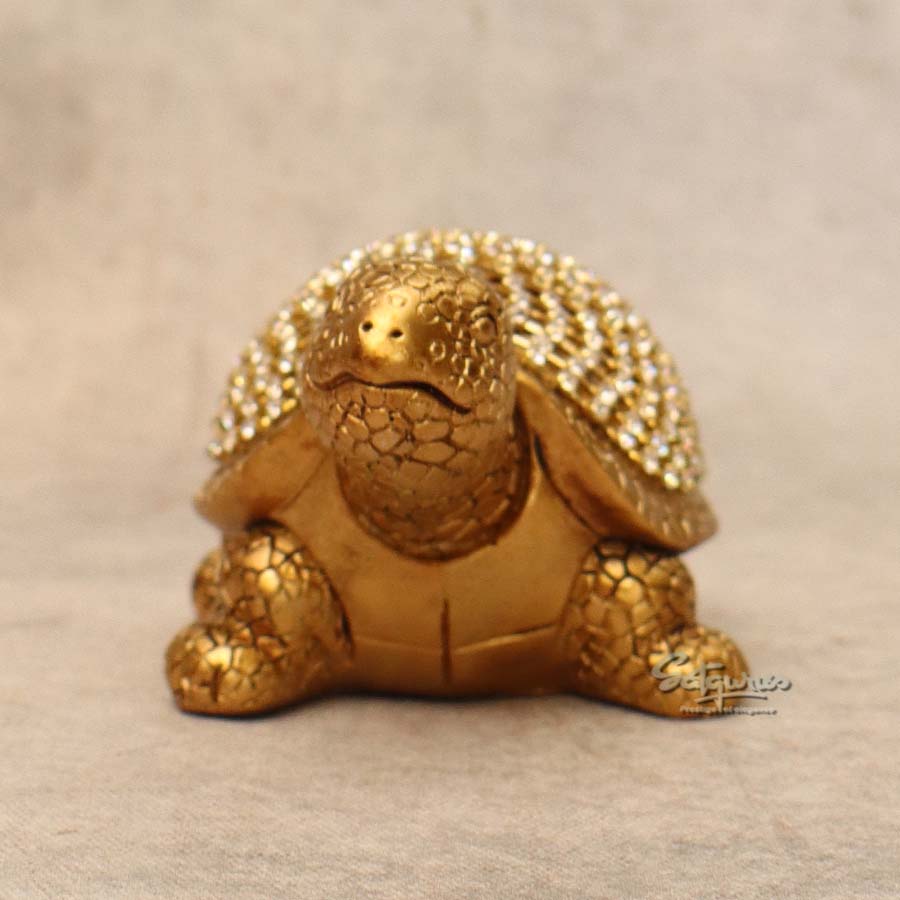 Diamond Gold Tortoise ( Medium ) By Satguru's