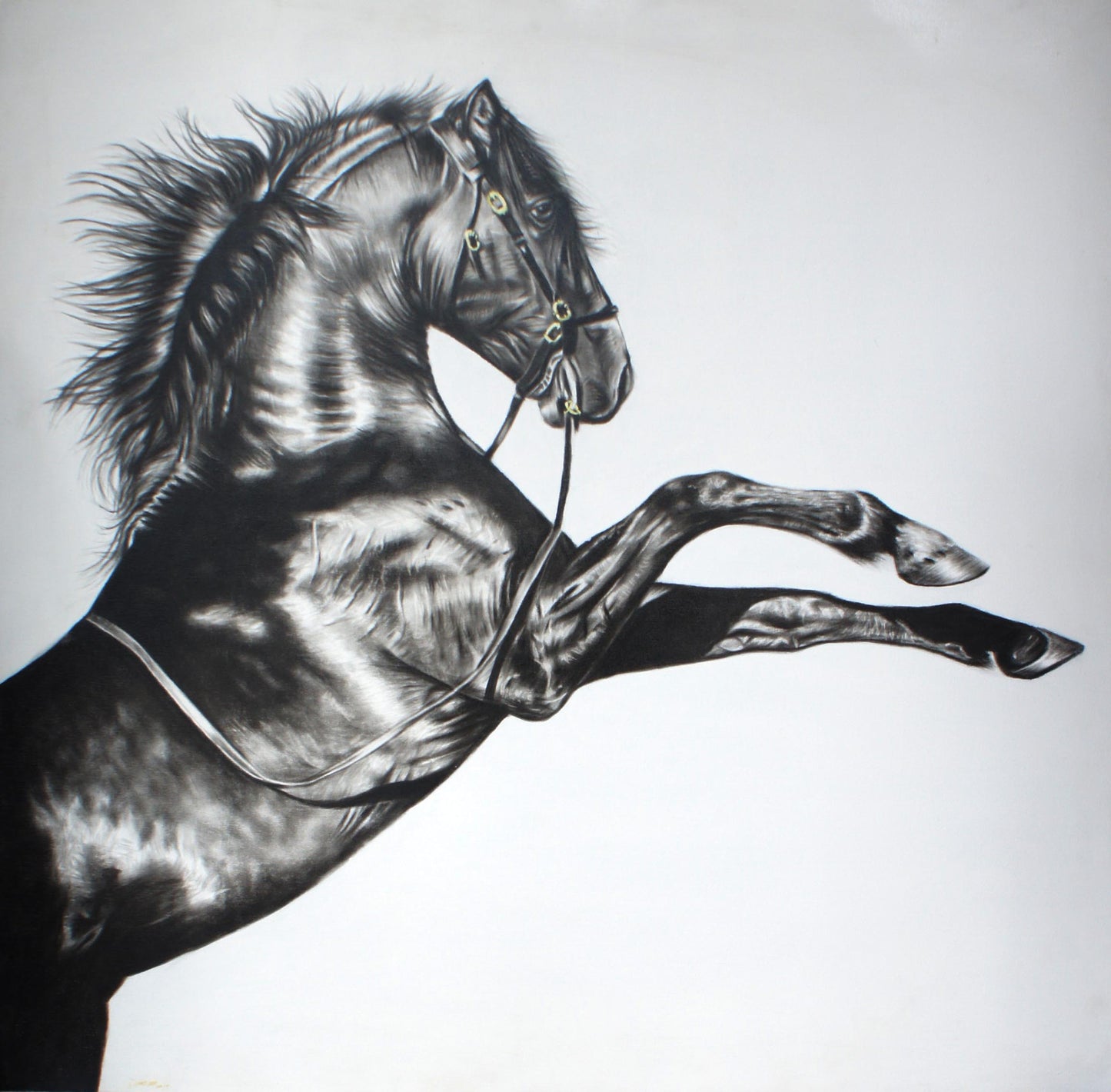 The Prancing Horse - by G Sandeep