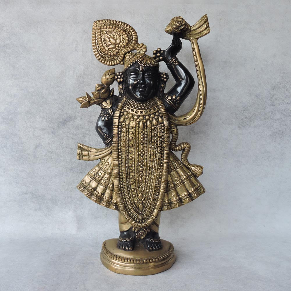 Brass Shrinathji by Satgurus
