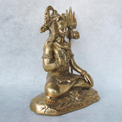 Shiva Shankar Idol by Satgurus