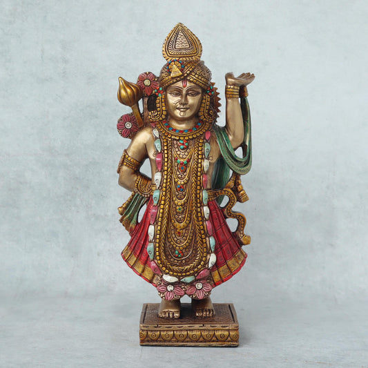 Lord Shreenathji by Satgurus