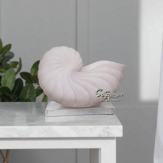 Oyster Design Urli by Satgurus