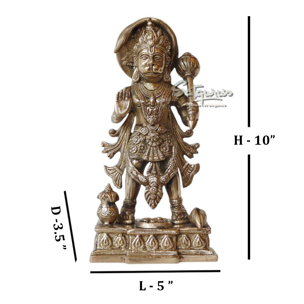 Blessing Hanuman Idol by Satgurus