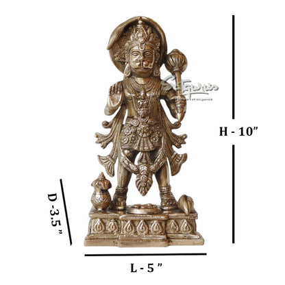 Blessing Hanuman Idol by Satgurus