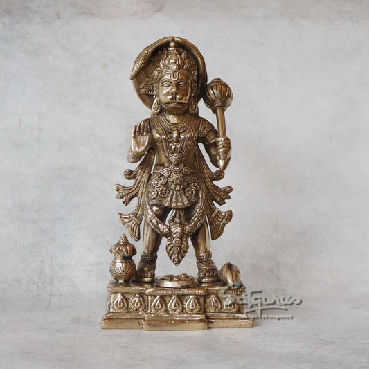 Blessing Hanuman Idol by Satgurus