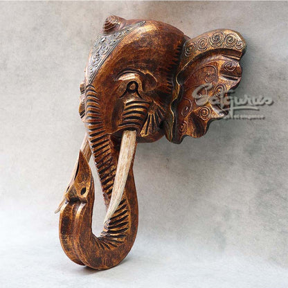 Elephant Face Wall Art  By Satgurus