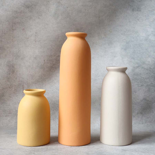 Minimalist Matte Clay Vase By Satguru's