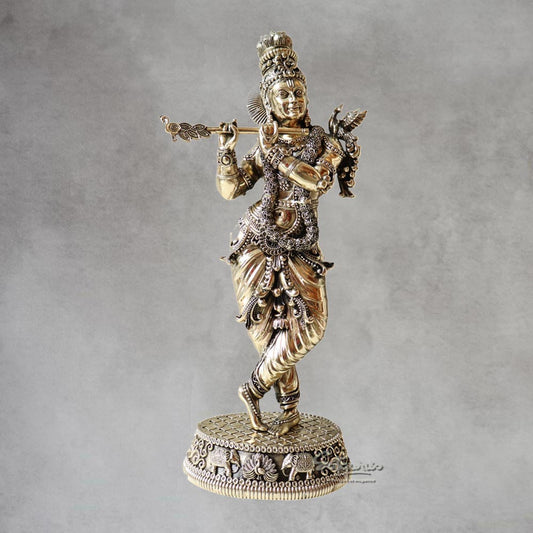 Muralidhar Krishna By Satguru's