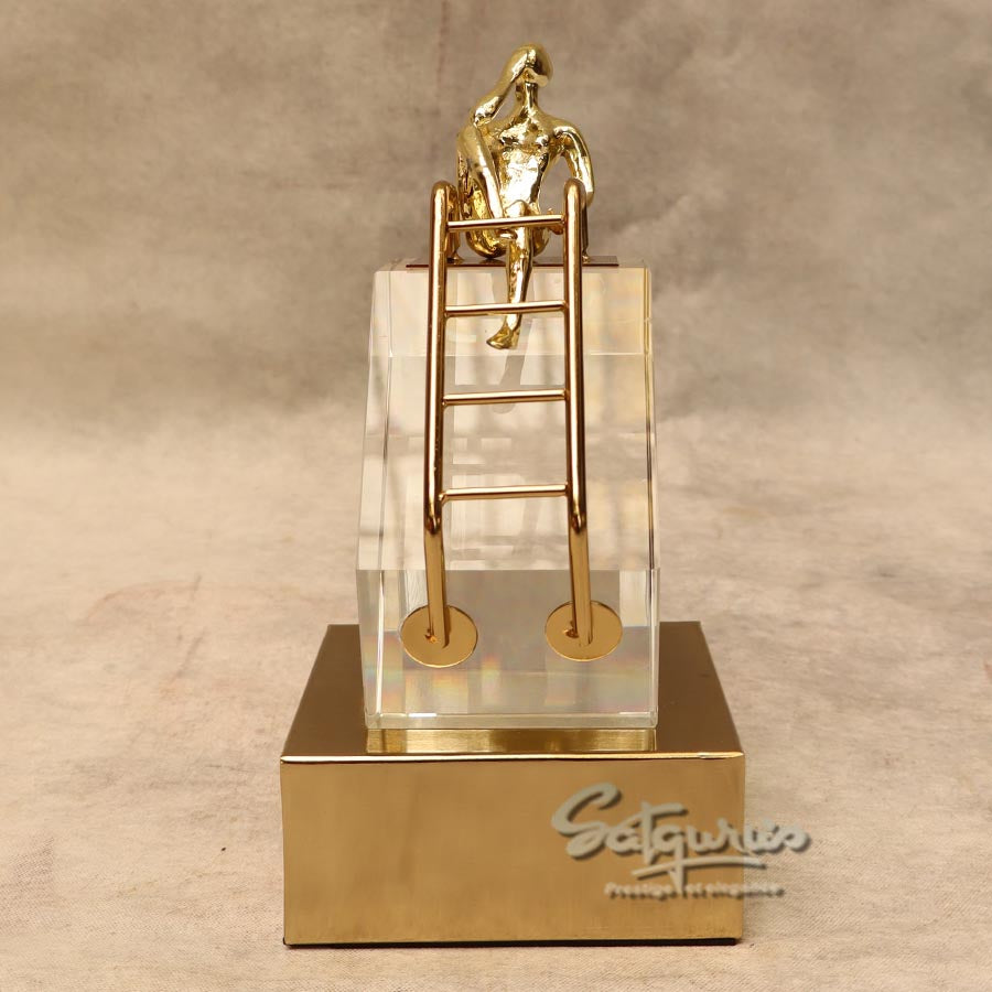 The Thinking On The Success Ladder By Satguru's
