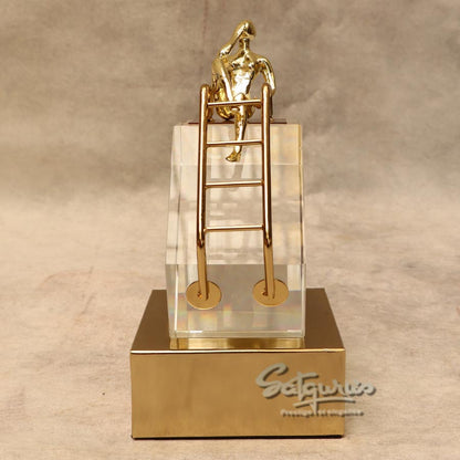 The Thinking On The Success Ladder By Satguru's