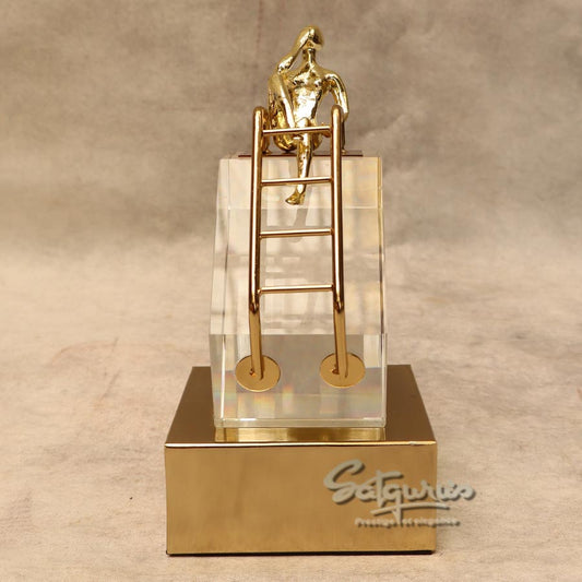 The Thinking On The Success Ladder By Satguru's