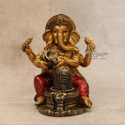 Ganesha With Shivling By Satguru's