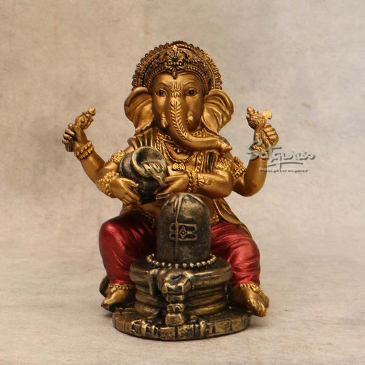 Ganesha With Shivling By Satguru's