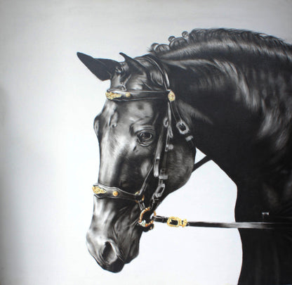 Warrior Horse - By G Sandeep
